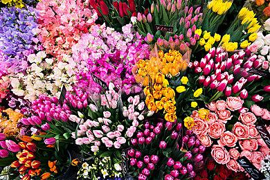 《宝可梦》历代主角房间研究：妈妈们的待遇都很差